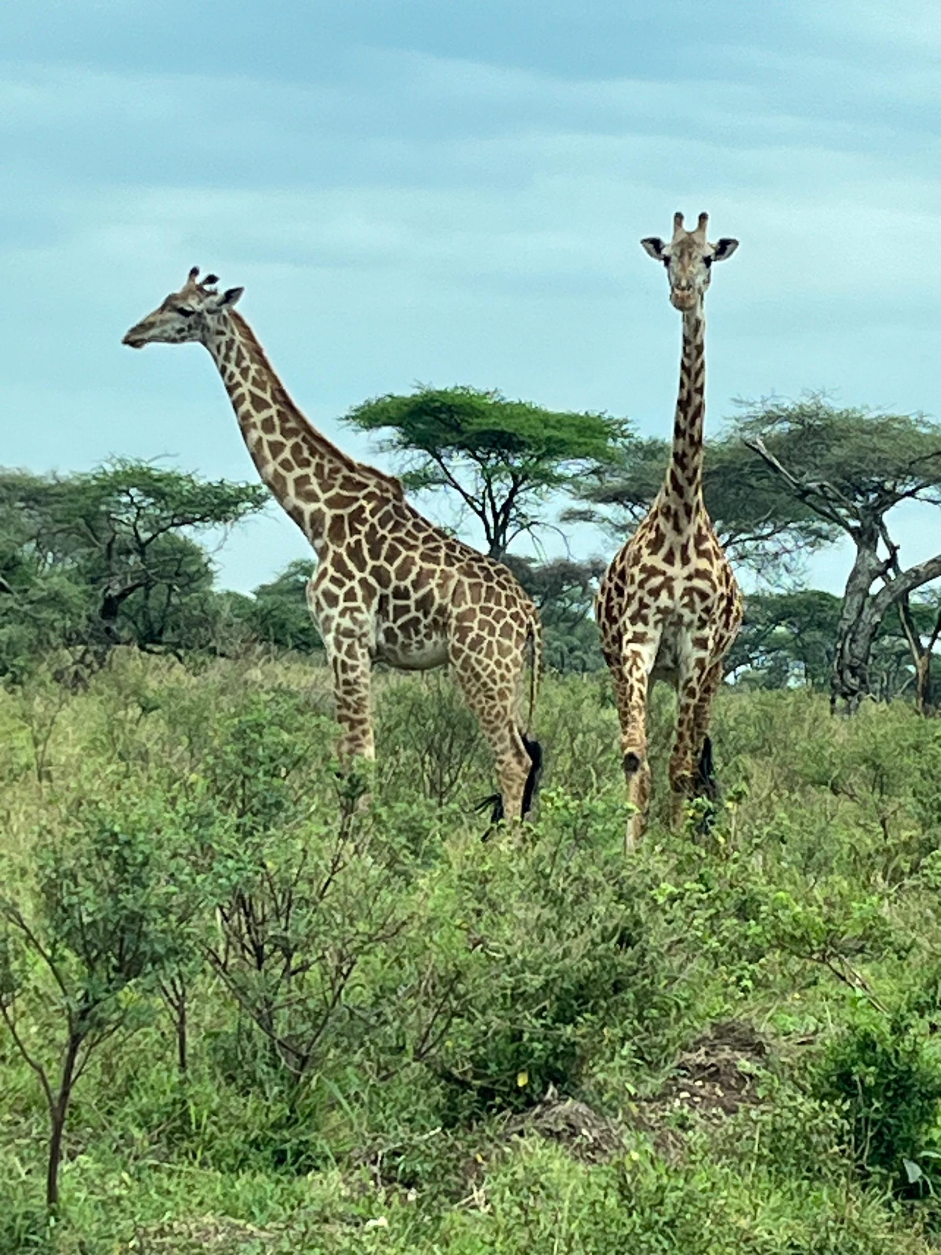 whatsapp image 2025 11 07 at 18.17.51 aad04e0c